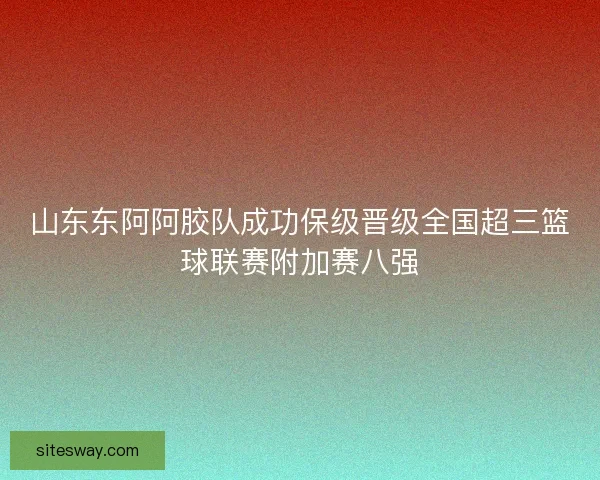 山东东阿阿胶队成功保级晋级全国超三篮球联赛附加赛八强